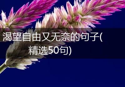 渴望自由又无奈的句子(精选50句)