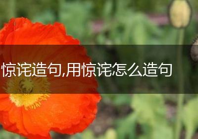 惊诧造句,用惊诧怎么造句