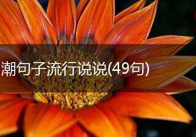 潮句子流行说说(49句)