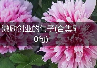 激励创业的句子(合集50句)