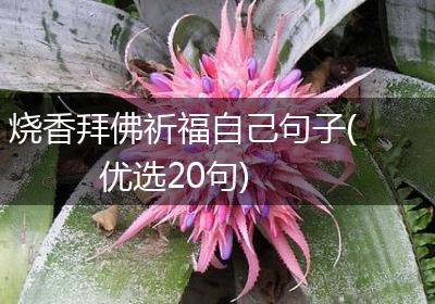 烧香拜佛祈福自己句子(优选20句)