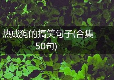 热成狗的搞笑句子(合集50句)