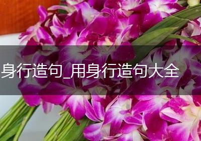 身行造句_用身行造句大全
