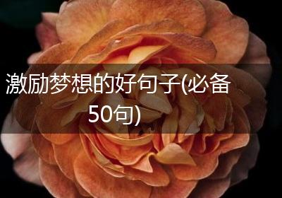 激励梦想的好句子(必备50句)