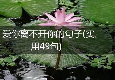 爱你离不开你的句子(实用49句)