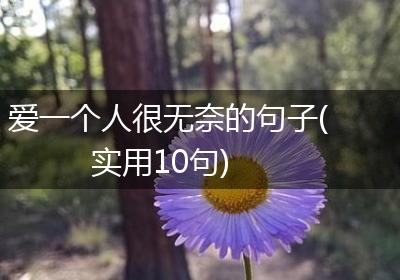 爱一个人很无奈的句子(实用10句)