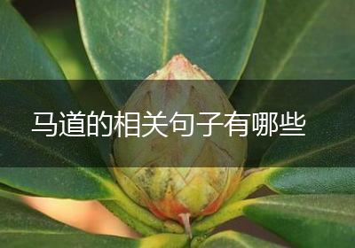 马道的相关句子有哪些