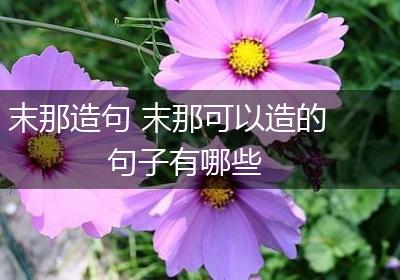 末那造句 末那可以造的句子有哪些