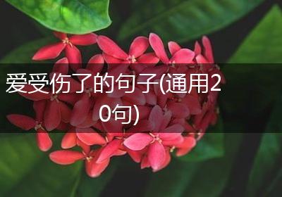 爱受伤了的句子(通用20句)