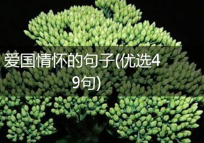 爱国情怀的句子(优选49句)