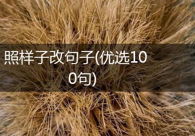 照样子改句子(优选100句)