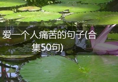 爱一个人痛苦的句子(合集50句)