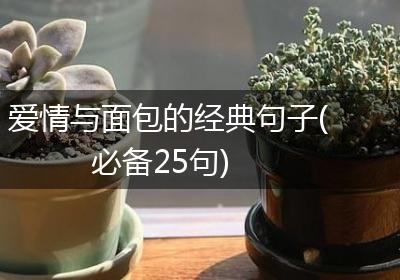 爱情与面包的经典句子(必备25句)