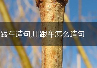 跟车造句,用跟车怎么造句