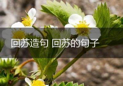 回苏造句 回苏的句子