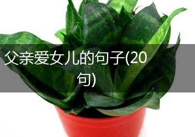 父亲爱女儿的句子(20句)