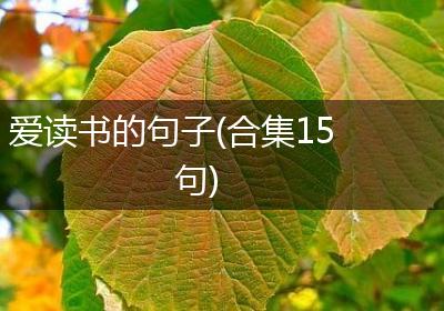 爱读书的句子(合集15句)