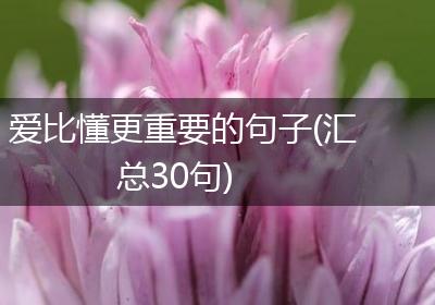爱比懂更重要的句子(汇总30句)
