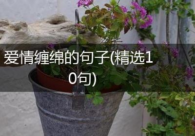爱情缠绵的句子(精选10句)