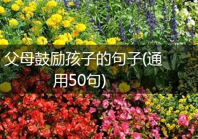 父母鼓励孩子的句子(通用50句)