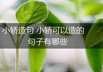 小轿造句 小轿可以造的句子有哪些