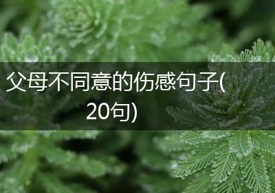 父母不同意的伤感句子(20句)