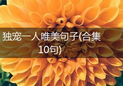 独宠一人唯美句子(合集10句)