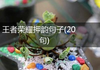 王者荣耀押韵句子(20句)