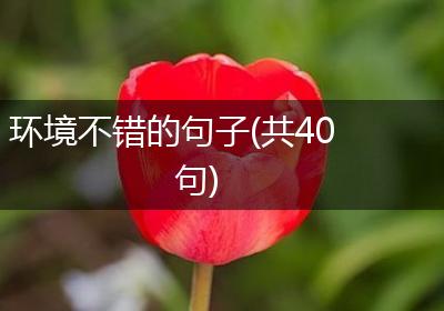 环境不错的句子(共40句)