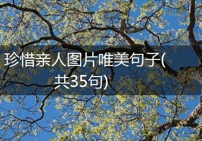 珍惜亲人图片唯美句子(共35句)