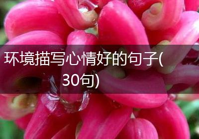 环境描写心情好的句子(30句)