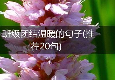 班级团结温暖的句子(推荐20句)