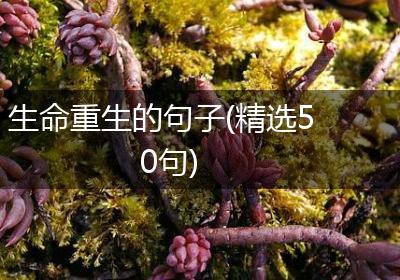 生命重生的句子(精选50句)