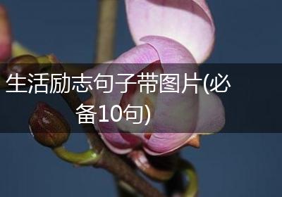 生活励志句子带图片(必备10句)