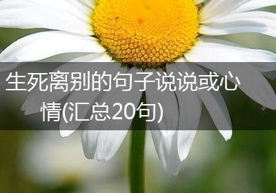 生死离别的句子说说或心情(汇总20句)