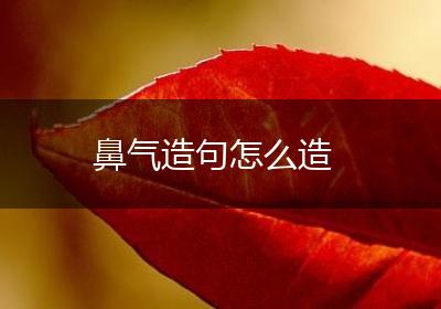 鼻气造句怎么造