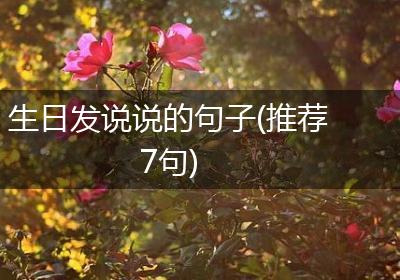 生日发说说的句子(推荐7句)