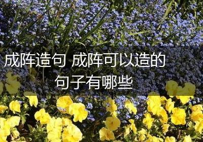 成阵造句 成阵可以造的句子有哪些