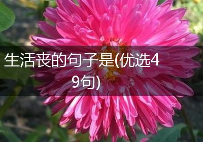 生活丧的句子是(优选49句)
