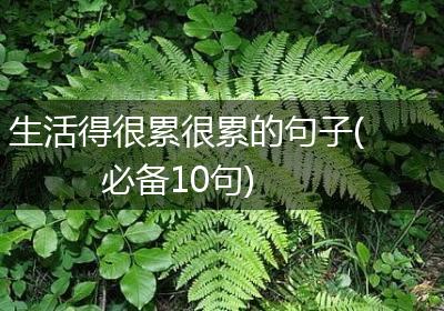 生活得很累很累的句子(必备10句)