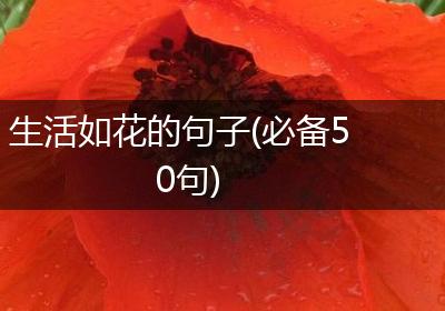 生活如花的句子(必备50句)