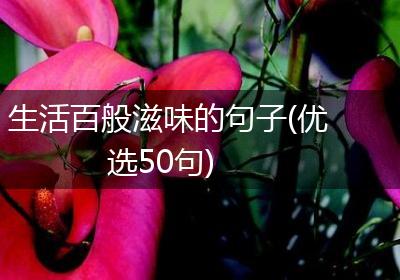 生活百般滋味的句子(优选50句)
