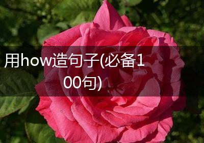 用how造句子(必备100句)