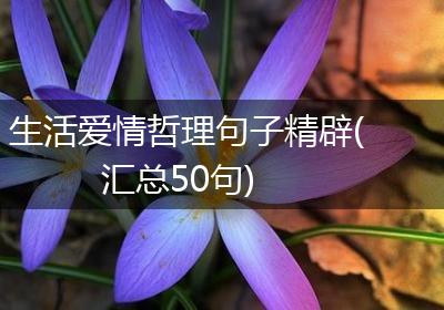 生活爱情哲理句子精辟(汇总50句)