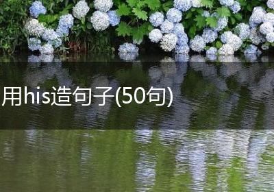 用his造句子(50句)