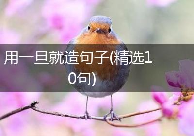 用一旦就造句子(精选10句)