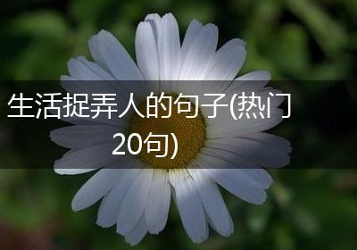 生活捉弄人的句子(热门20句)