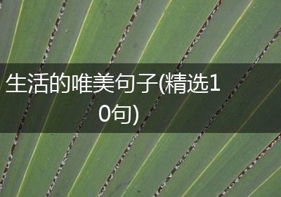 生活的唯美句子(精选10句)