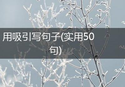 用吸引写句子(实用50句)