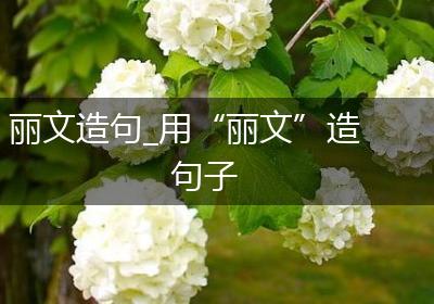 丽文造句_用“丽文”造句子